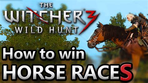 witcher 3 horse race|Horse racing .